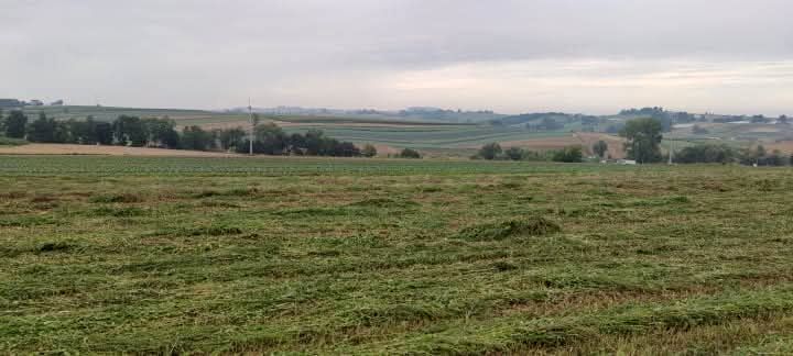 Działka budowlana Wronin