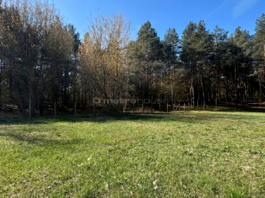 Działka budowlana Ogrodzieniec