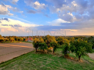 Działka budowlana Maszyce