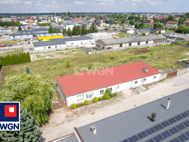 Lokal Mogilno sprzedaż