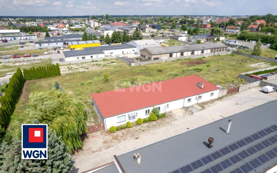 Lokal Mogilno sprzedaż