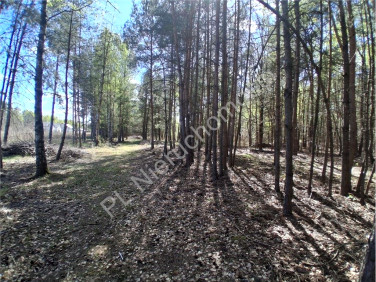 Działka budowlana Osowiec