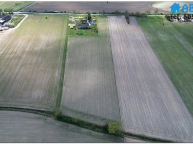 Działka Tomisławice