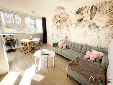 Mieszkanie Jelenia Góra