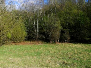 Działka budowlana Lipsko-Polesie