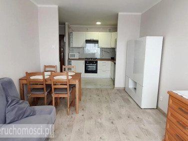 Mieszkanie Zielona Góra