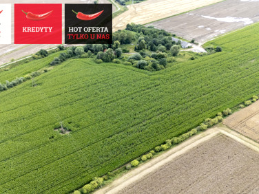 Działka rolna Wielkie Walichnowy