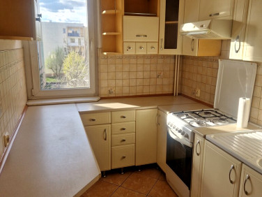 Mieszkanie Bełchatów