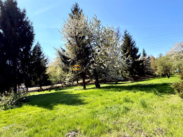 Działka usługowa Witoszów Dolny