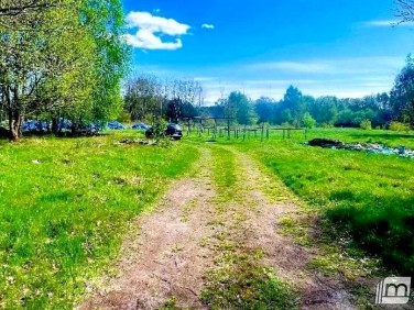 Działka budowlano-rolna Trzebież