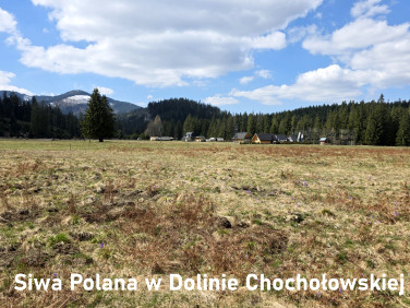 Działka rolna Witów