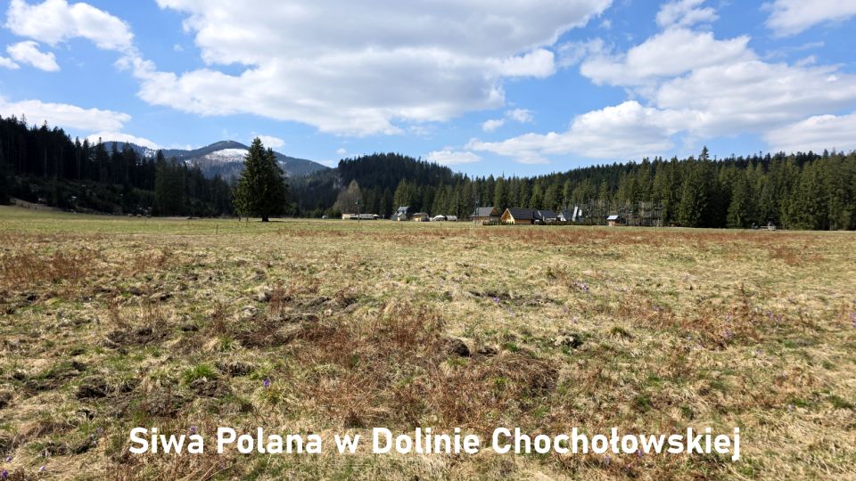 Działka rolna Witów