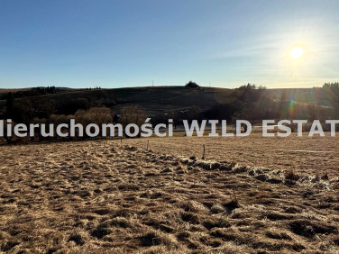 Działka rolna Liskowate sprzedam