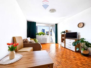 Mieszkanie Zielona Góra sprzedaż