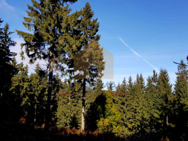 Działka rekreacyjna Sobótka