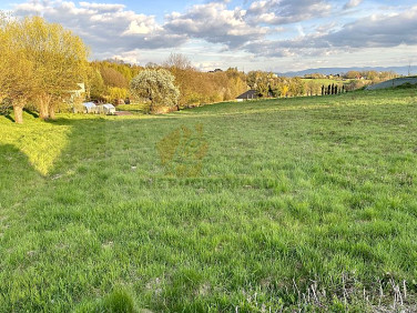 Działka budowlana Nowy Sącz