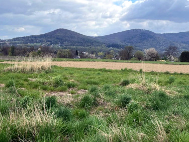 Działka Górki Wielkie