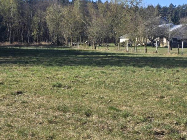 Działka budowlana Wołomin