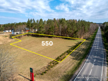 Działka Kłobuczyno