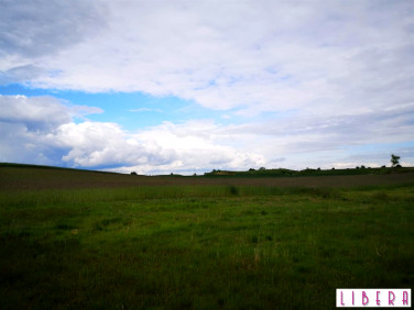 Działka inwestycyjna Wilcze