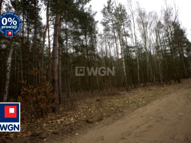 Działka budowlana Wieliszew