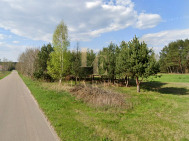 Działka budowlana Kury