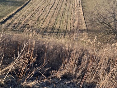Działka budowlana Kozierów