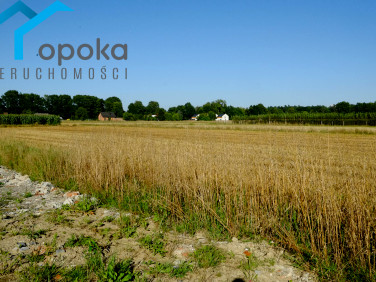 Działka budowlana Zaborze