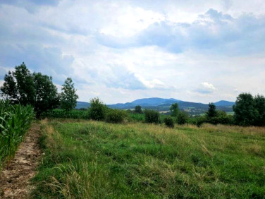 Działka leśna Puńców