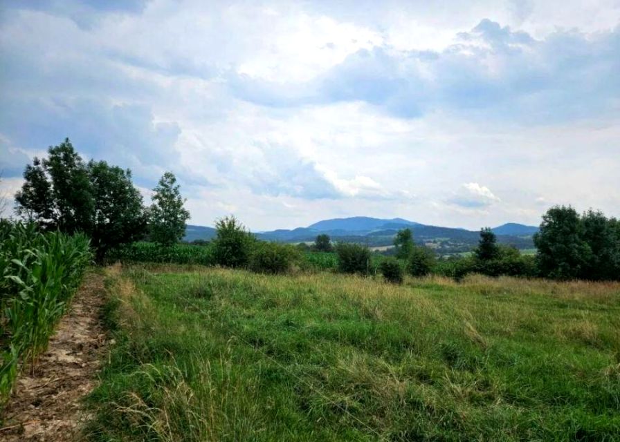 Działka leśna Puńców