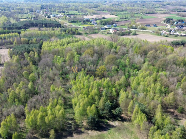 Działka Mędrzechów