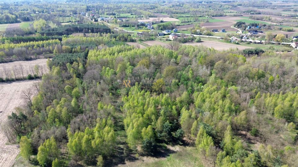 Działka Mędrzechów