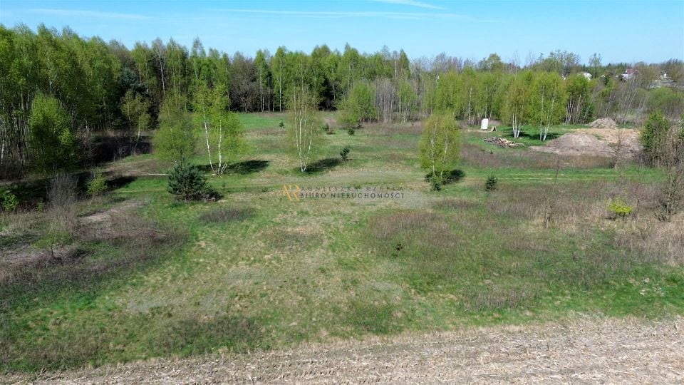Działka Mędrzechów
