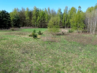 Działka Mędrzechów