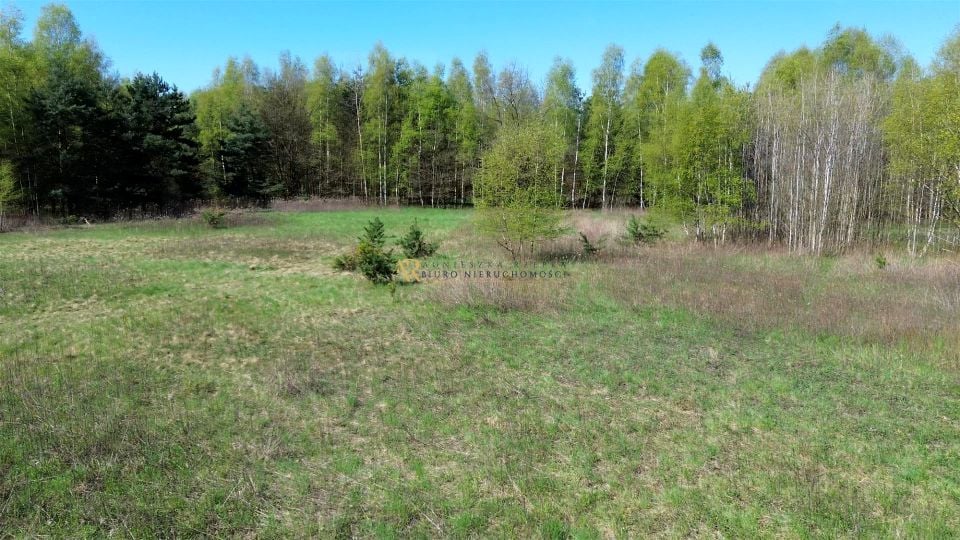 Działka Mędrzechów