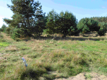 Działka budowlana Łośno