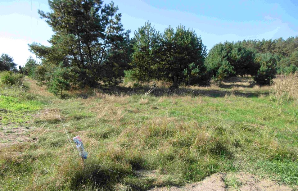 Działka budowlana Łośno