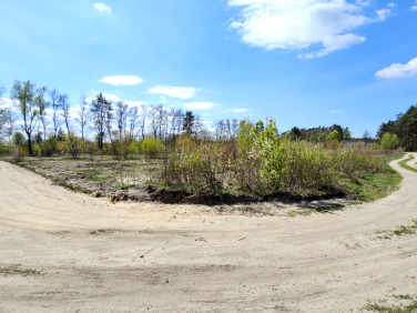 Działka budowlana Żółwin