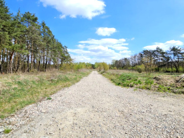 Działka budowlana Żółwin sprzedam