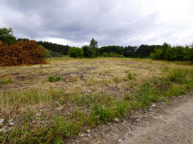 Działka rolna Zielona Góra