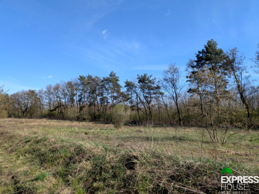 Działka budowlana Żółwin