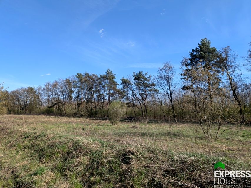 Działka budowlana Żółwin