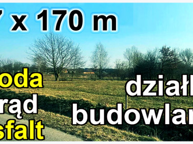 Działka Nowinki