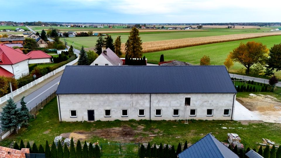 Lokal Szczury