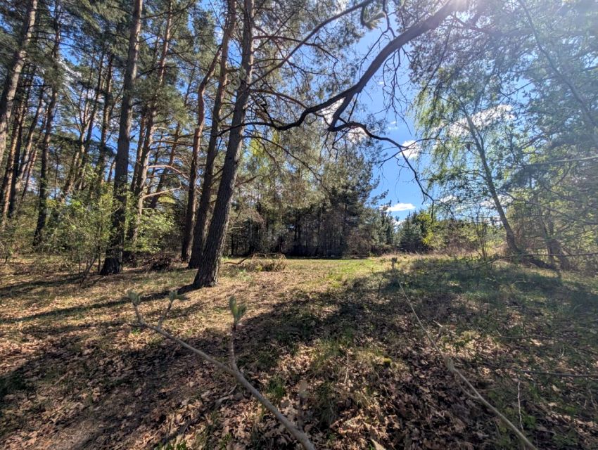 Działka rekreacyjna Małe Łąkie