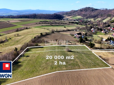 Działka Nowy Waliszów