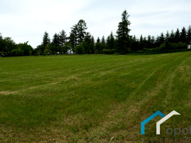 Działka inna Goleszów