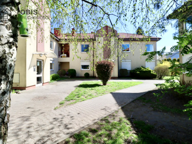 Mieszkanie Dąbrówka