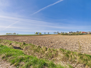 Działka budowlana Grębocin sprzedam