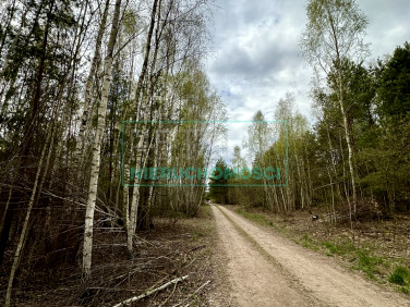 Działka Strzeniówka